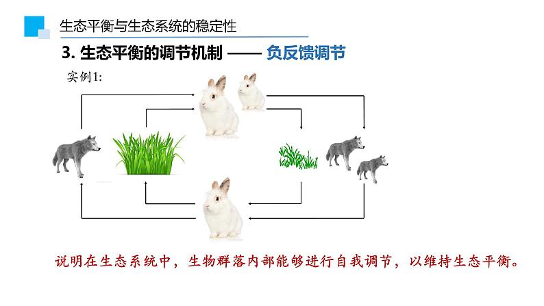 3.5生态系统的稳定性课件PPT第8页
