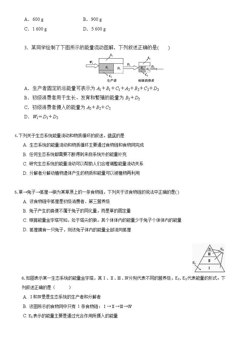 3.2生态系统的能量流动 试卷02