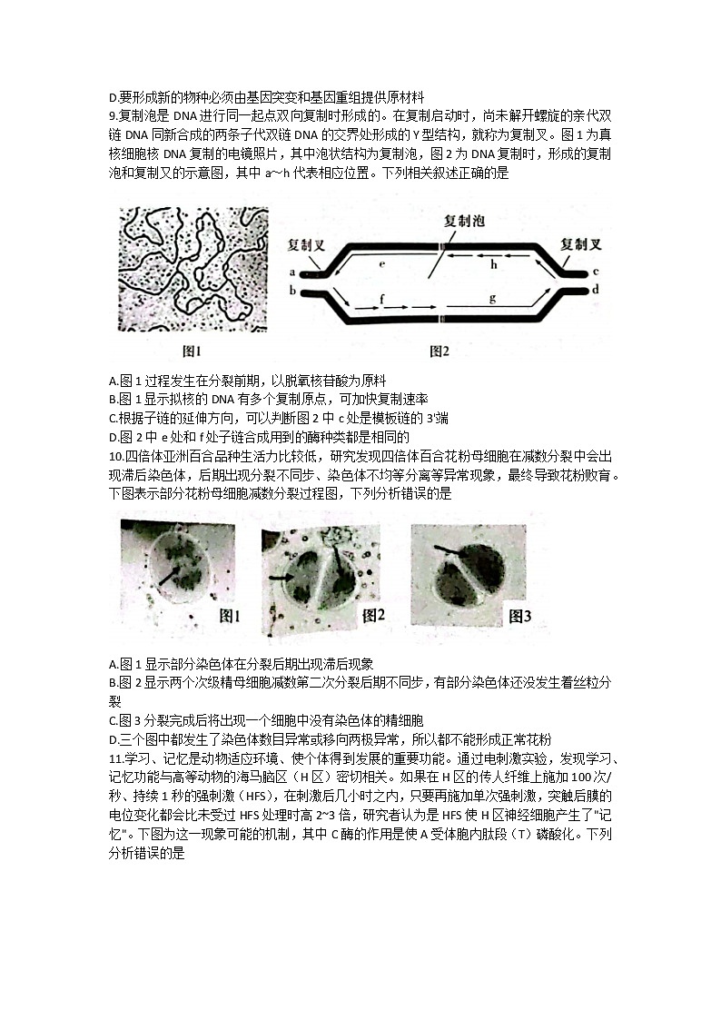 湖南省长沙市第一中学2023届高三生物上学期月考卷（四）试题（Word版附解析）03