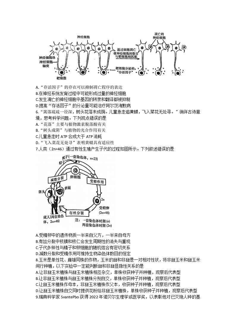 2023长沙雅礼中学高三上学期月考卷（三）生物试题含解析02