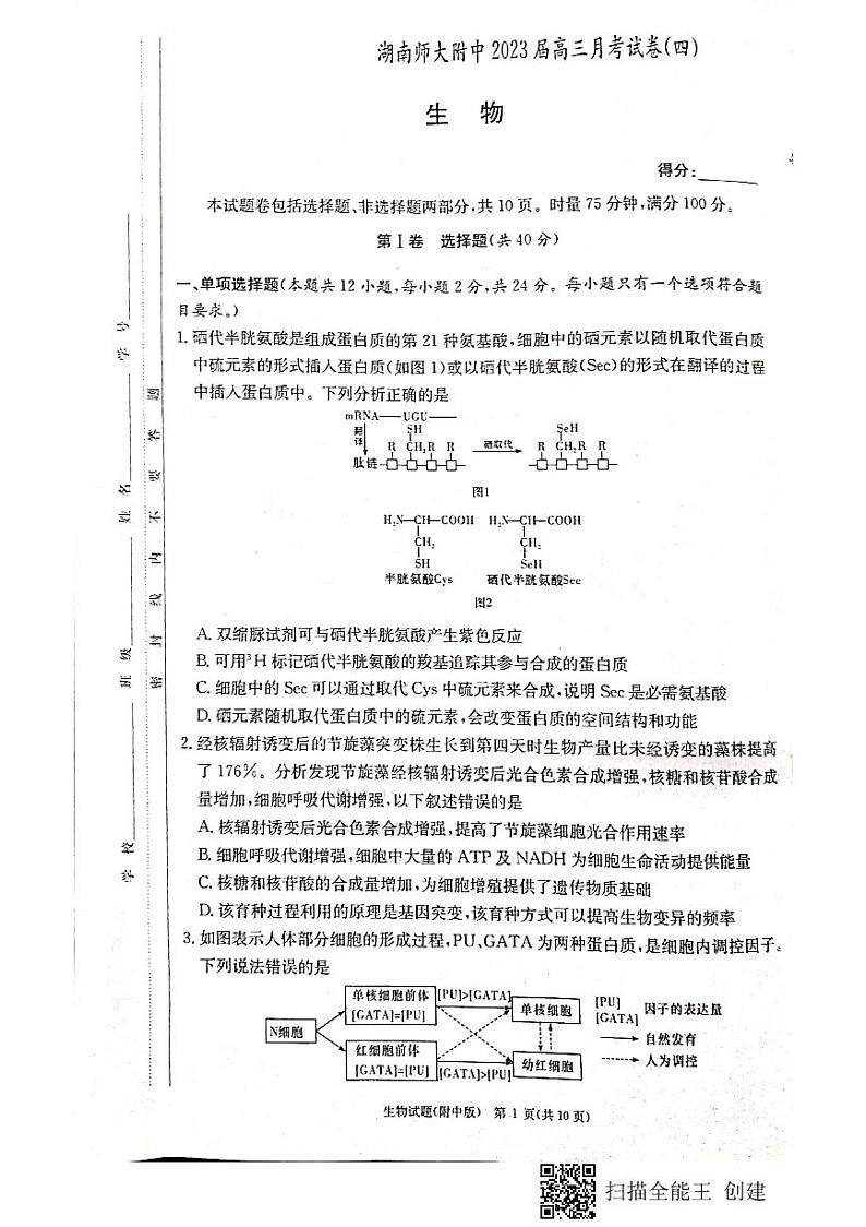 湖南师范大学附属中学2022-2023学年高三上学期月考卷（四）生物试题第1页