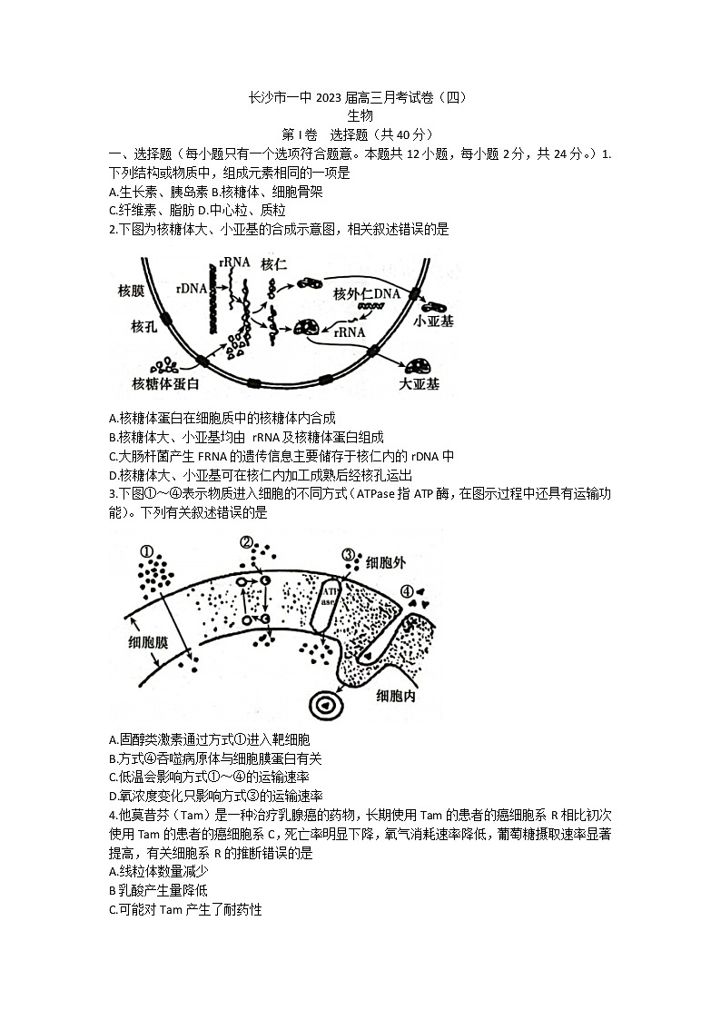 2023长沙一中高三上学期月考卷（四）生物试题含解析01
