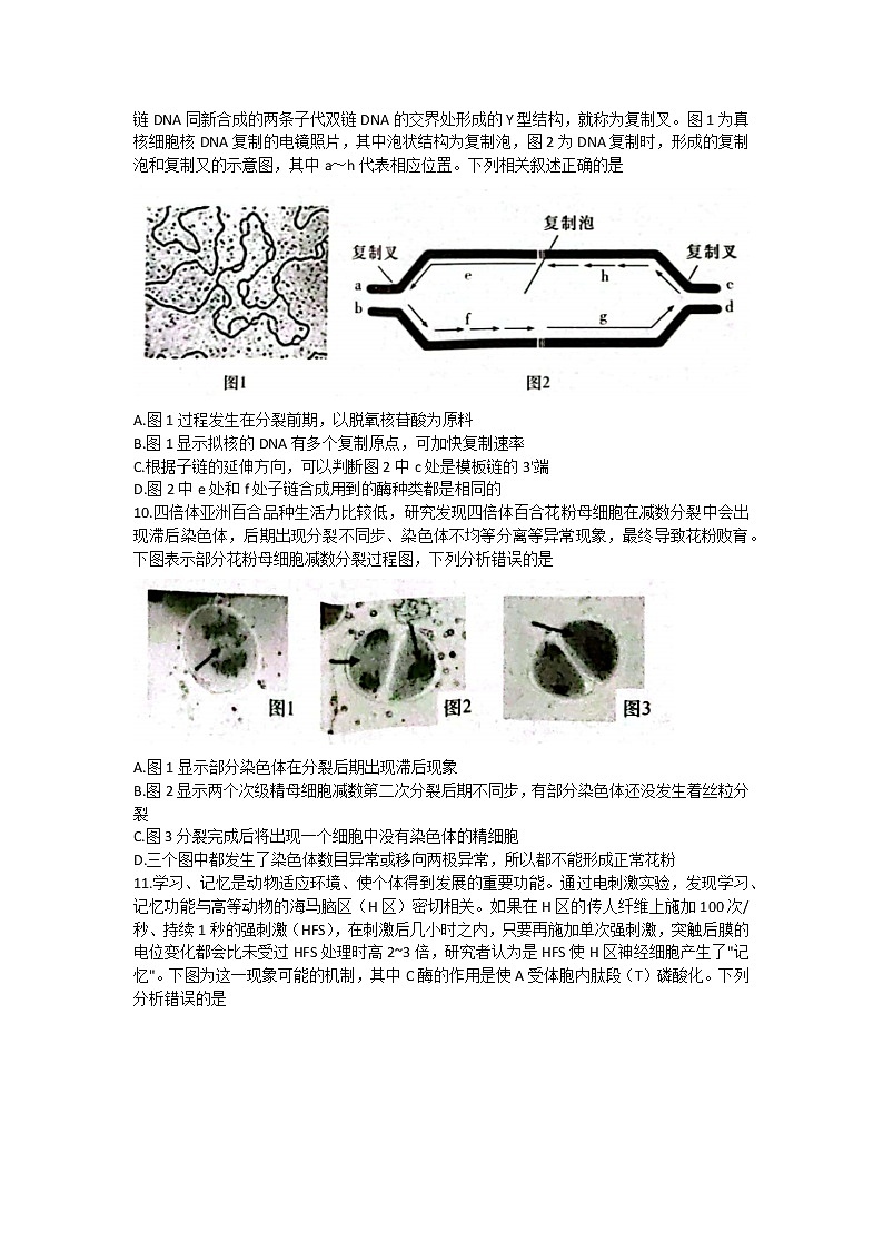 2023长沙一中高三上学期月考卷（四）生物试题含解析03