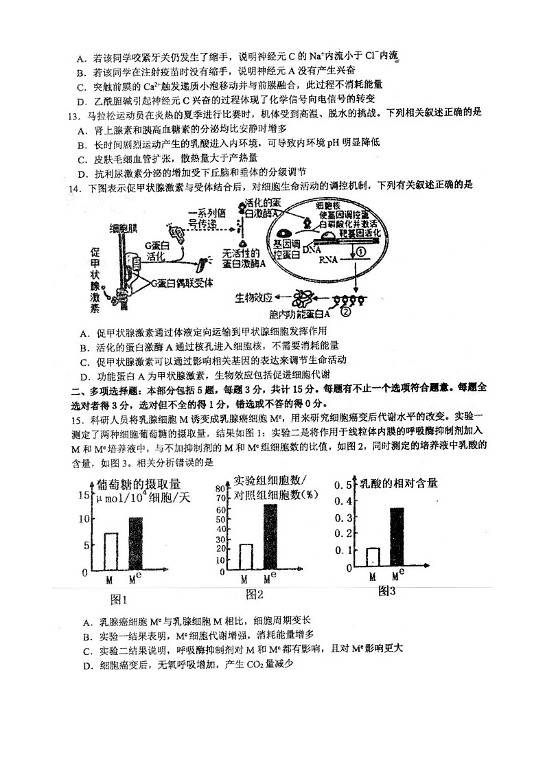 2023南通高三上学期12月月考试题生物图片版含答案第3页