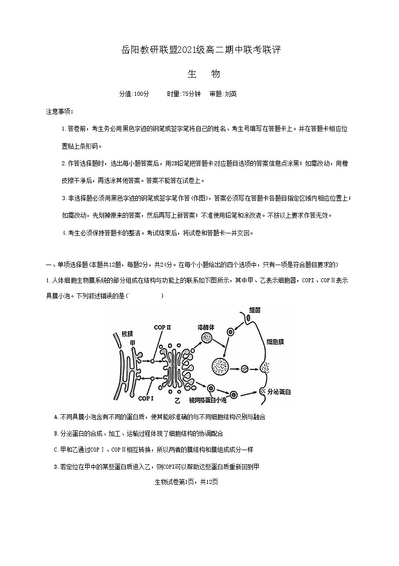 2023岳阳教研联盟高二上学期期中联考联评试题生物无答案01