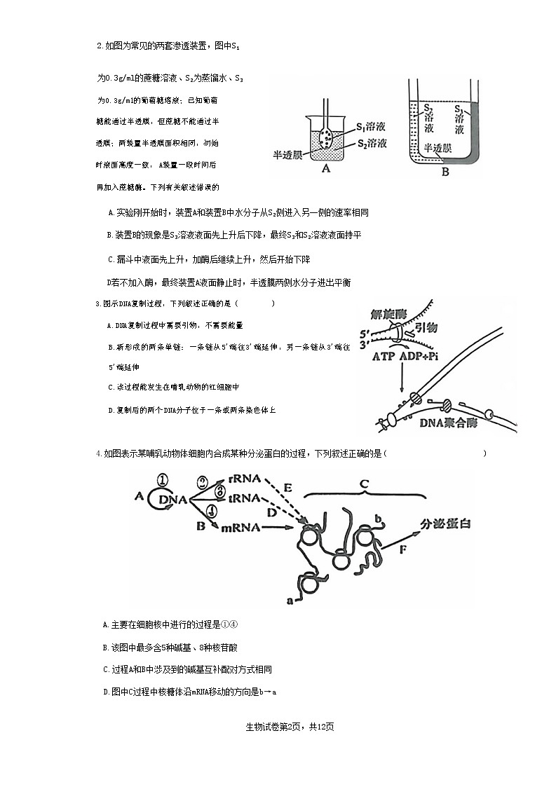 2023岳阳教研联盟高二上学期期中联考联评试题生物无答案02