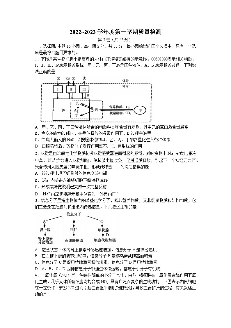 山东省枣庄市滕州市2022-2023学年高二上学期期中生物试题01