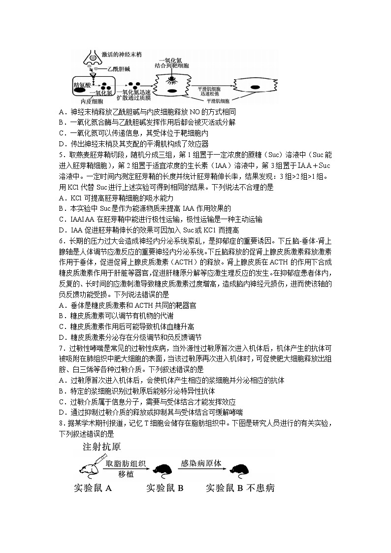 山东省枣庄市滕州市2022-2023学年高二上学期期中生物试题02