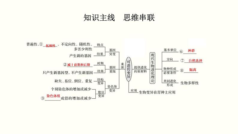 (新高考)高考生物一轮复习课件第八单元生物的变异、育种与进化(含解析)第2页