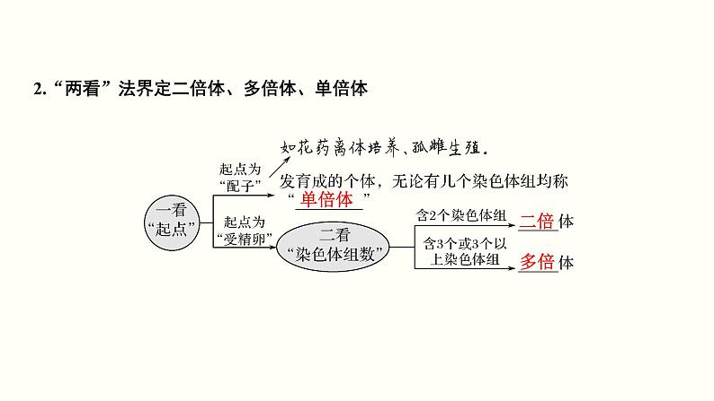 (新高考)高考生物一轮复习课件第八单元生物的变异、育种与进化(含解析)第5页