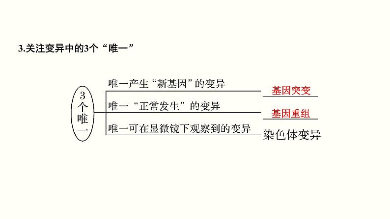 (新高考)高考生物一轮复习课件第八单元生物的变异、育种与进化(含解析)第7页