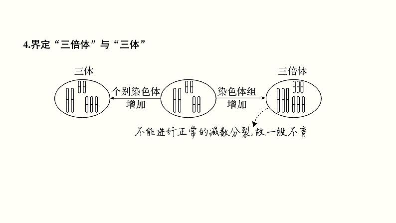 (新高考)高考生物一轮复习课件第八单元生物的变异、育种与进化(含解析)第8页