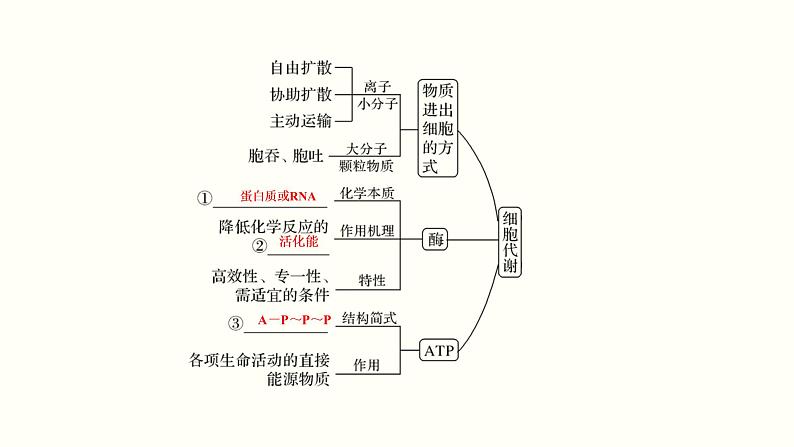 (新高考)高考生物一轮复习课件第二单元物质运输、酶与ATP(含解析)第2页