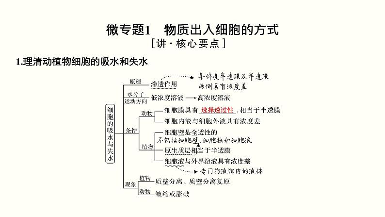 (新高考)高考生物一轮复习课件第二单元物质运输、酶与ATP(含解析)第3页