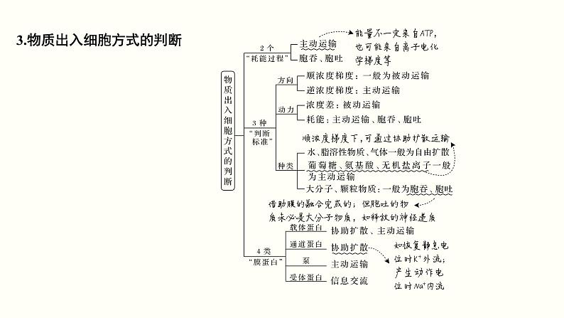 (新高考)高考生物一轮复习课件第二单元物质运输、酶与ATP(含解析)第7页