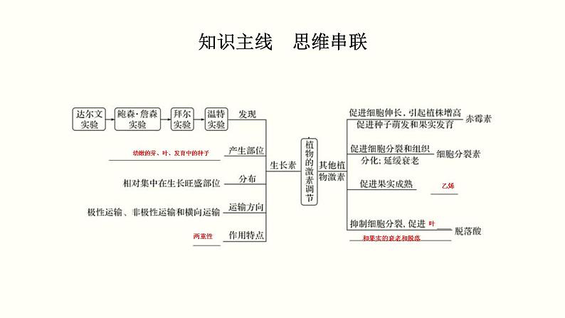 (新高考)高考生物一轮复习课件第九单元植物的激素调节(含解析)第2页