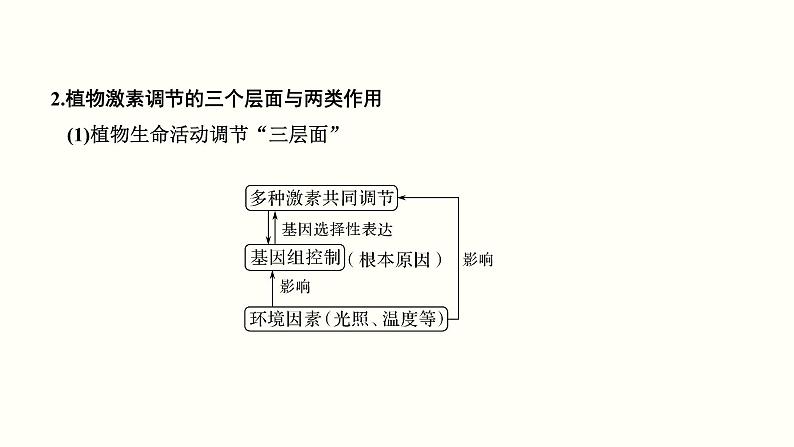 (新高考)高考生物一轮复习课件第九单元植物的激素调节(含解析)第5页