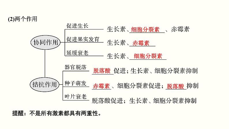 (新高考)高考生物一轮复习课件第九单元植物的激素调节(含解析)第6页