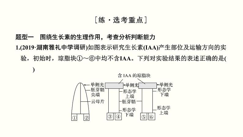 (新高考)高考生物一轮复习课件第九单元植物的激素调节(含解析)第7页