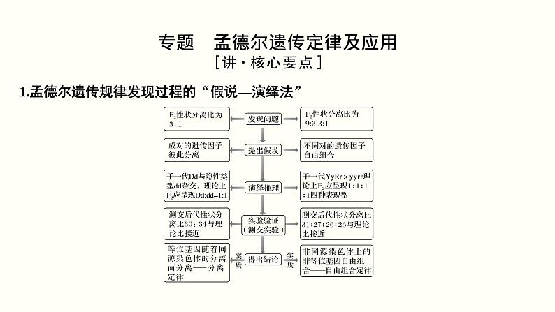 (新高考)高考生物一轮复习课件第六单元遗传的基本规律(含解析)第3页