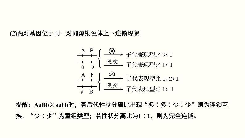 (新高考)高考生物一轮复习课件第六单元遗传的基本规律(含解析)第7页