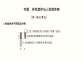 (新高考)高考生物一轮复习课件第七单元伴性遗传和人类遗传病(含解析)