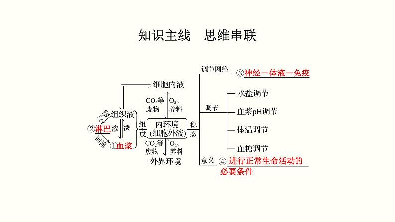 (新高考)高考生物一轮复习课件第十单元内环境及其稳态(含解析)02