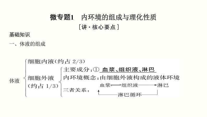 (新高考)高考生物一轮复习课件第十单元内环境及其稳态(含解析)03