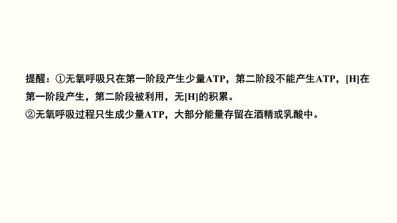 (新高考)高考生物一轮复习课件第三单元光合作用与细胞呼吸(含解析)第6页