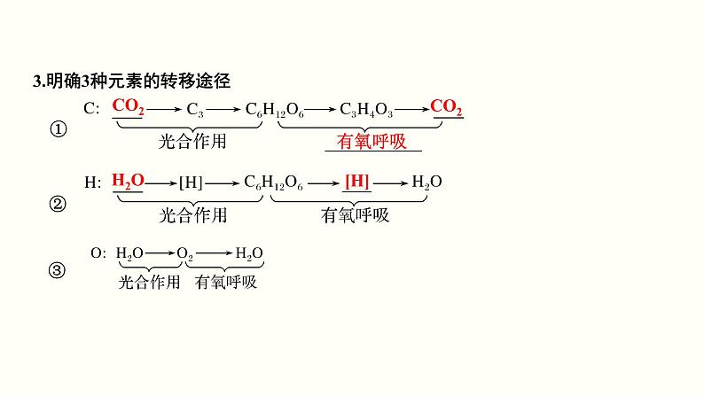 (新高考)高考生物一轮复习课件第三单元光合作用与细胞呼吸(含解析)第7页