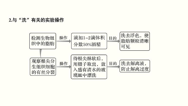 (新高考)高考生物一轮复习课件第十六单元实验与探究(含解析)07