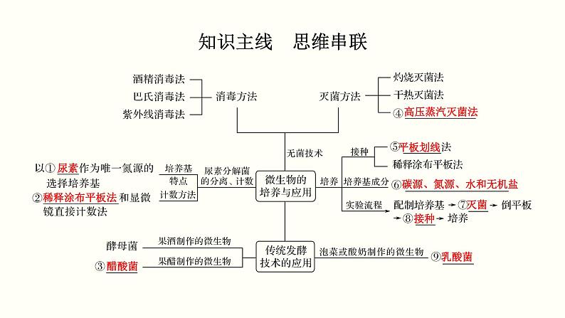 (新高考)高考生物一轮复习课件第十四单元生物技术实践(含解析)02