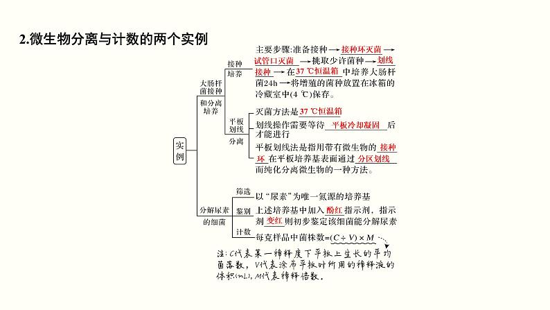 (新高考)高考生物一轮复习课件第十四单元生物技术实践(含解析)05