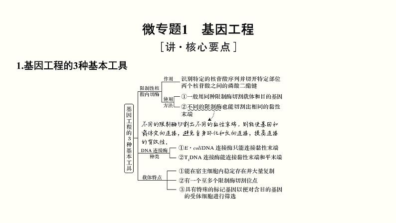 (新高考)高考生物一轮复习课件第十五单元现代生物科技专题(含解析)03