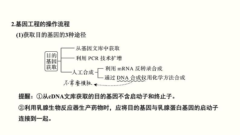 (新高考)高考生物一轮复习课件第十五单元现代生物科技专题(含解析)04