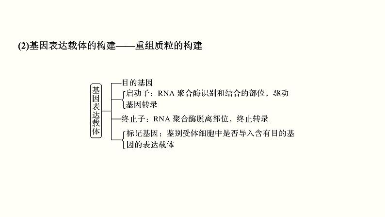 (新高考)高考生物一轮复习课件第十五单元现代生物科技专题(含解析)05