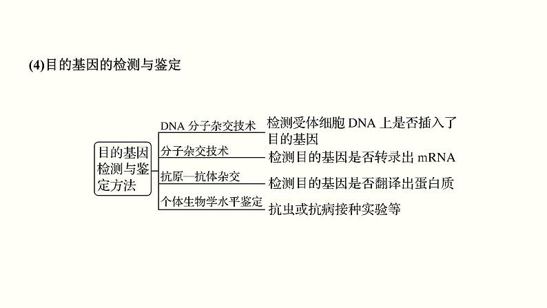 (新高考)高考生物一轮复习课件第十五单元现代生物科技专题(含解析)08