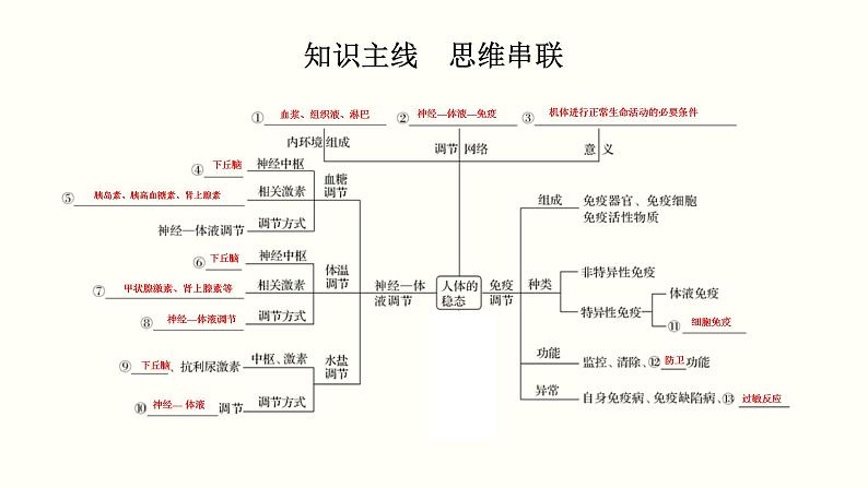 (新高考)高考生物一轮复习课件第十一单元神经调节、体液调节与免疫调节(含解析)第2页