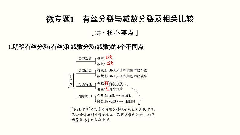 (新高考)高考生物一轮复习课件第四单元细胞的生命历程(含解析)03