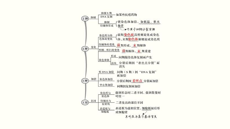 (新高考)高考生物一轮复习课件第四单元细胞的生命历程(含解析)05