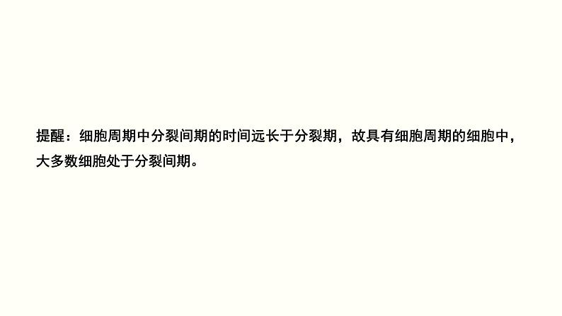 (新高考)高考生物一轮复习课件第四单元细胞的生命历程(含解析)06