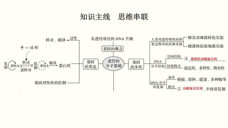 (新高考)高考生物一轮复习课件第五单元遗传的分子基础(含解析)第2页