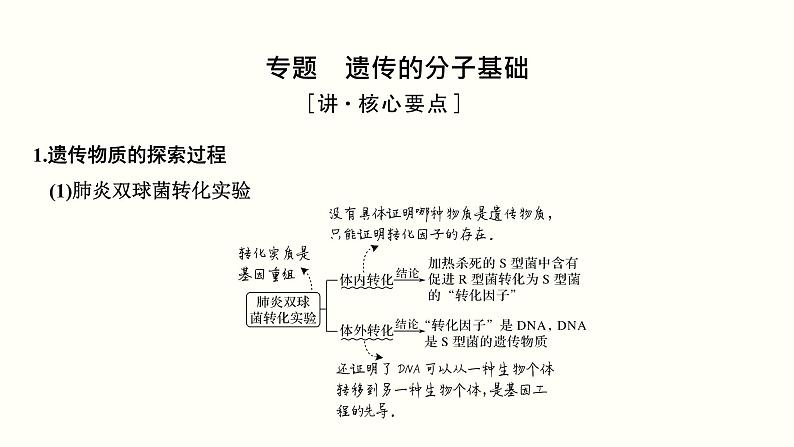 (新高考)高考生物一轮复习课件第五单元遗传的分子基础(含解析)第3页