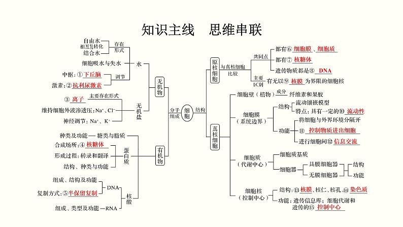 (新高考)高考生物一轮复习课件第一单元细胞的组成与结构(含解析)02