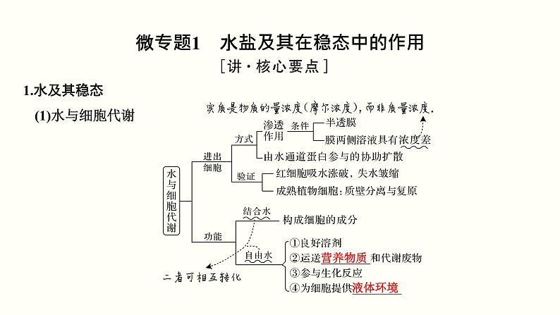 (新高考)高考生物一轮复习课件第一单元细胞的组成与结构(含解析)03