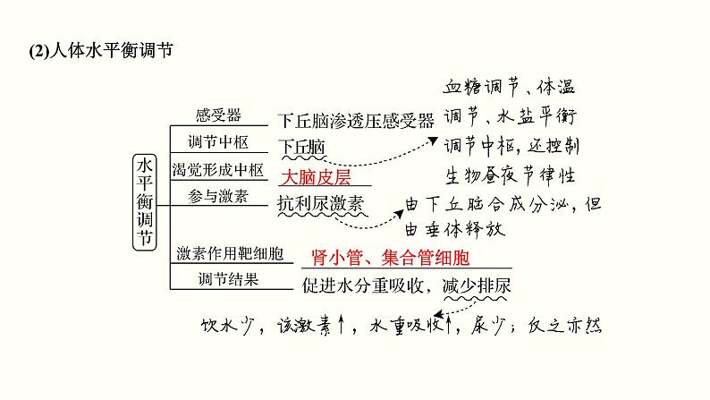 (新高考)高考生物一轮复习课件第一单元细胞的组成与结构(含解析)05