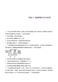 2021年高考生物真题与模拟题分类训练专题03细胞呼吸与光合作用（2份打包，含解析+原卷版，可预览）