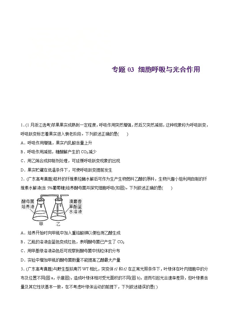 2021年高考生物真题与模拟题分类训练专题03细胞呼吸与光合作用（原卷版）第1页