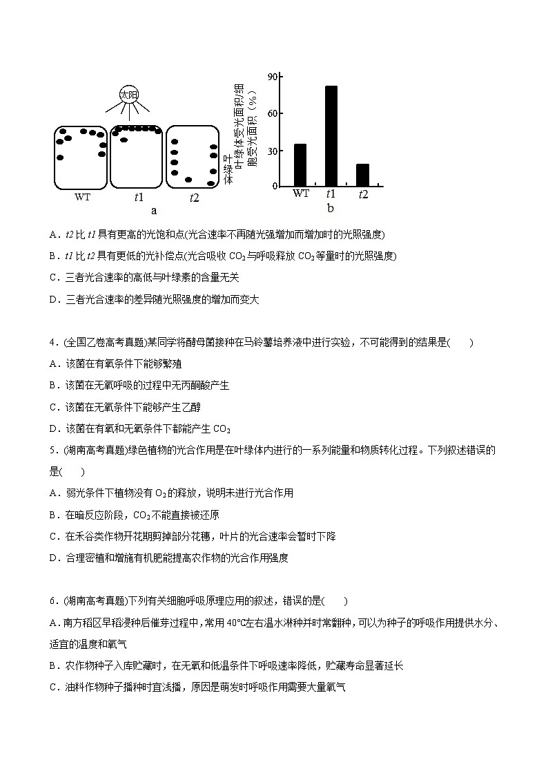 2021年高考生物真题与模拟题分类训练专题03细胞呼吸与光合作用（原卷版）第2页