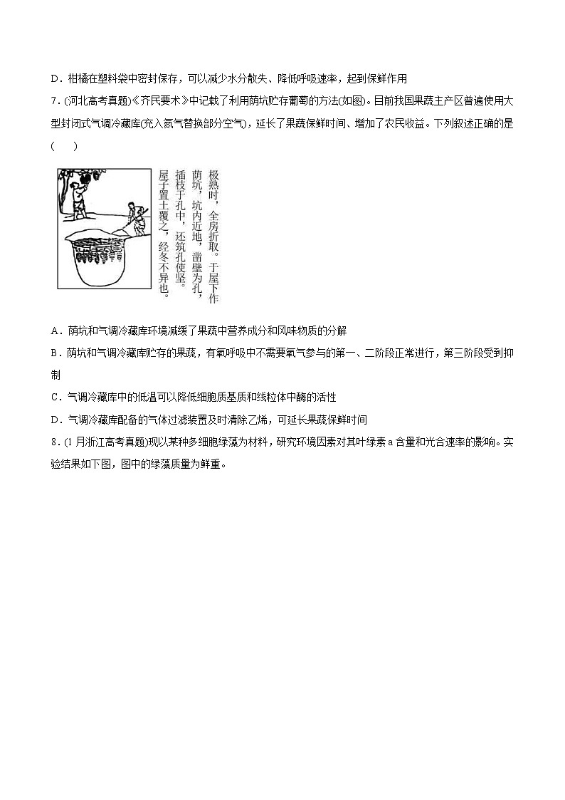 2021年高考生物真题与模拟题分类训练专题03细胞呼吸与光合作用（原卷版）第3页